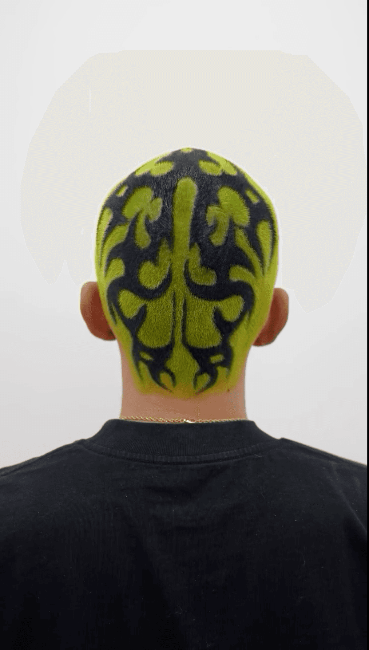 Studio environment b-roll