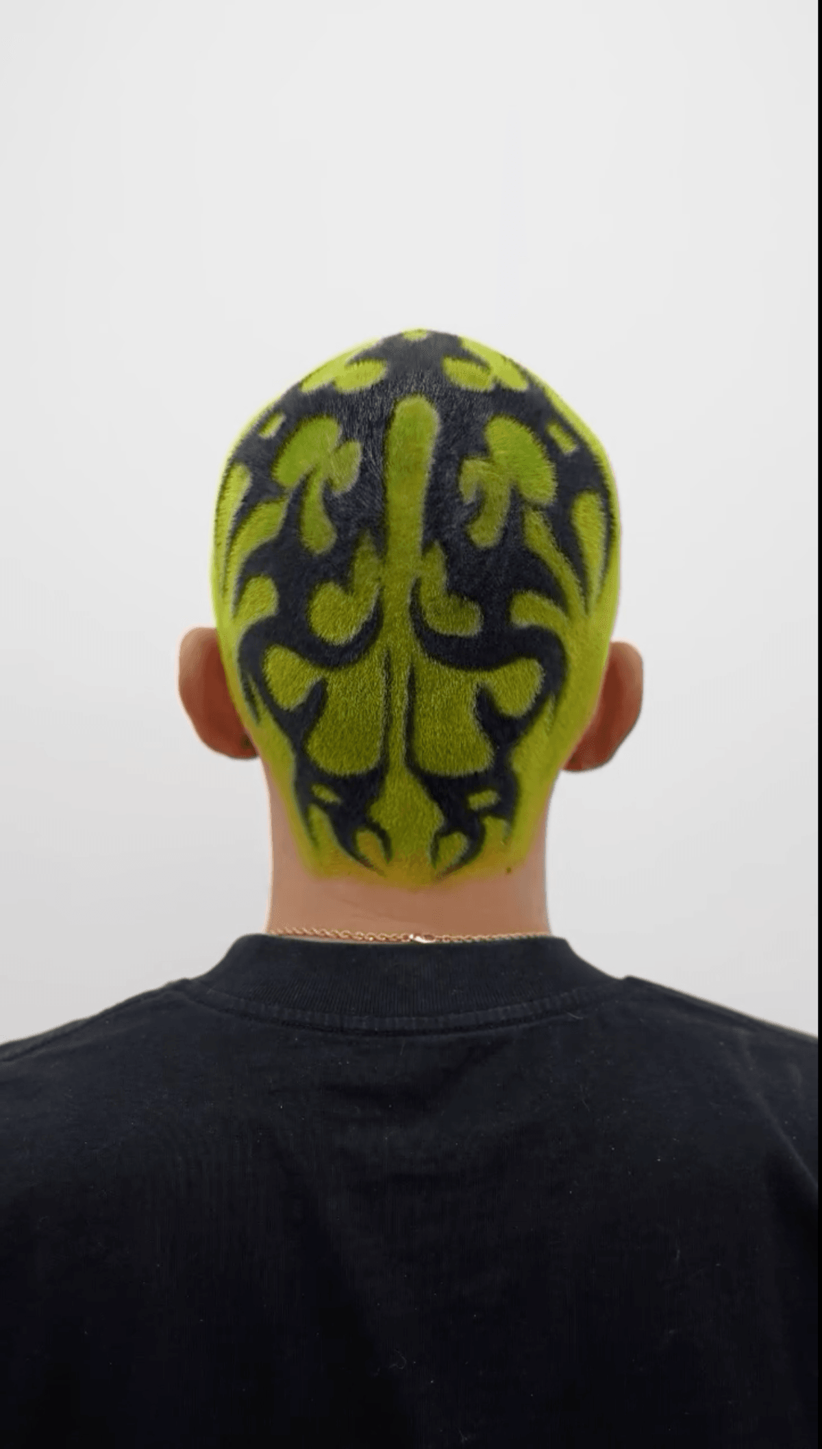 Studio environment b-roll